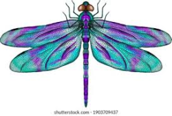 Logo - Dragonfly