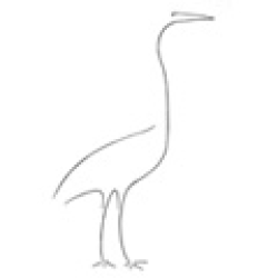 Logo - De Witte Reiger