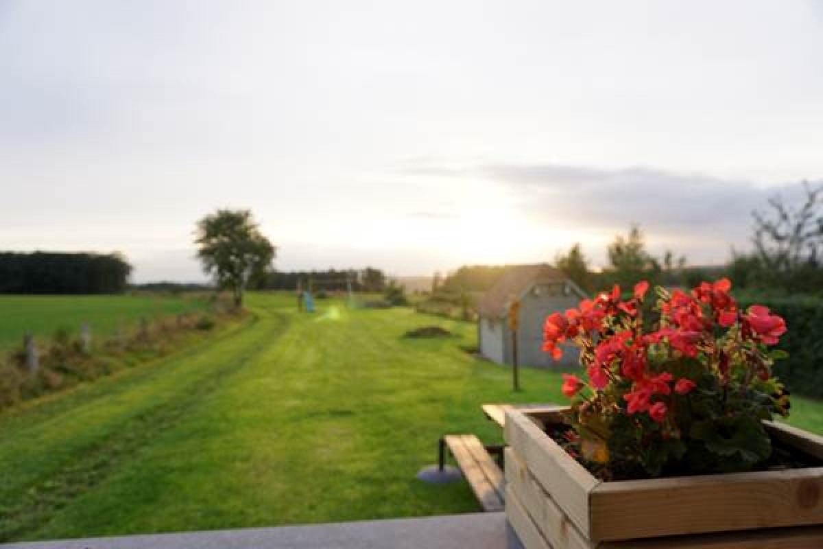 Afbeelding van Gîte - vakantiewoning Allongueroye Houffalize