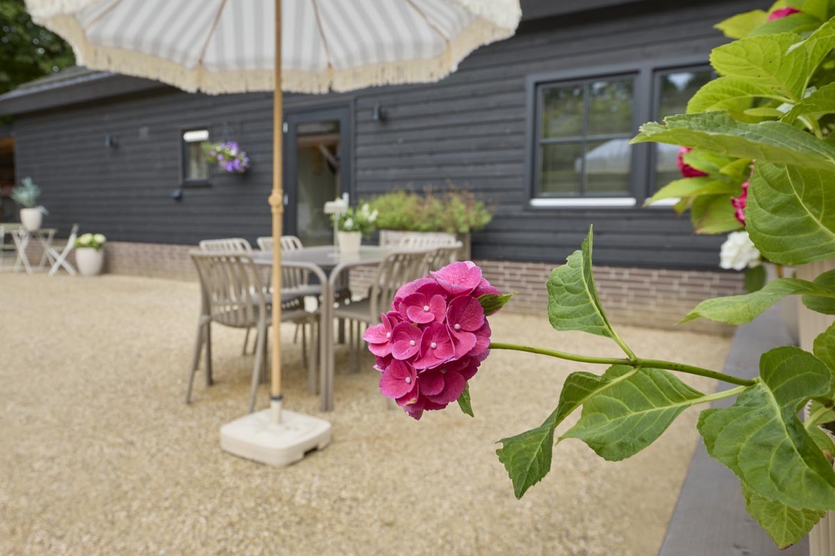 Afbeelding van B&B Su Casa Erp