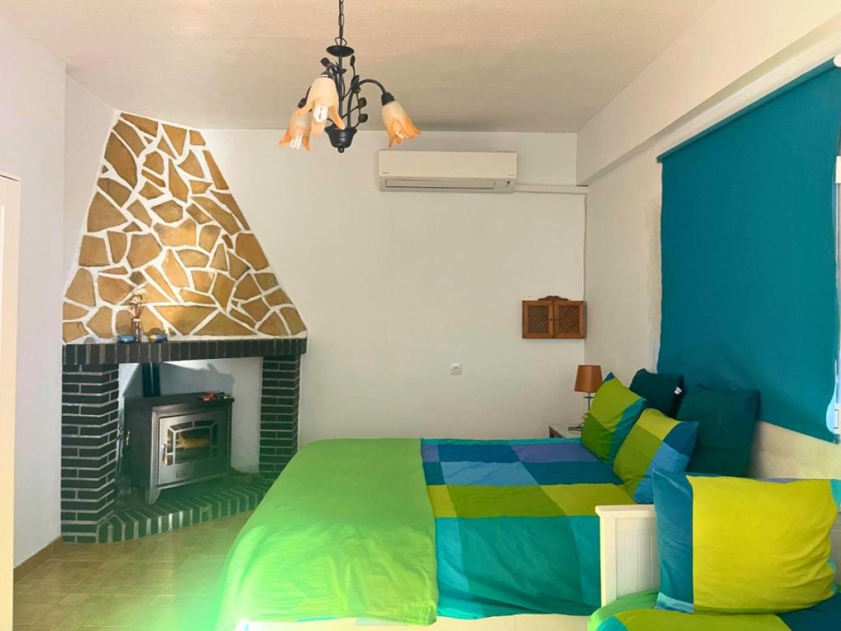 Afbeelding van Studio Tropical