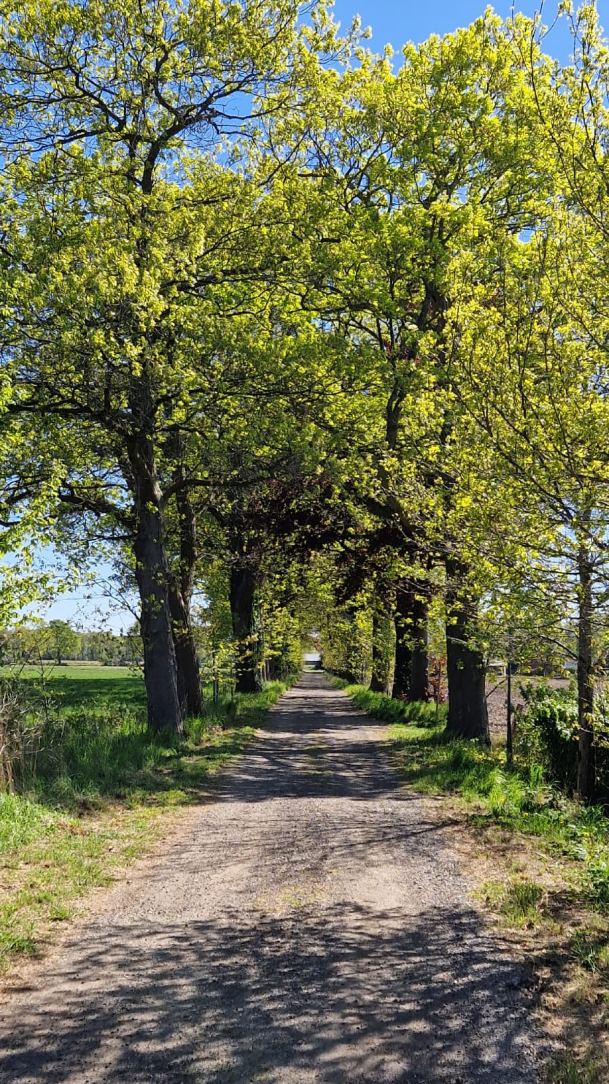 Bild von Tweepersoonskamer