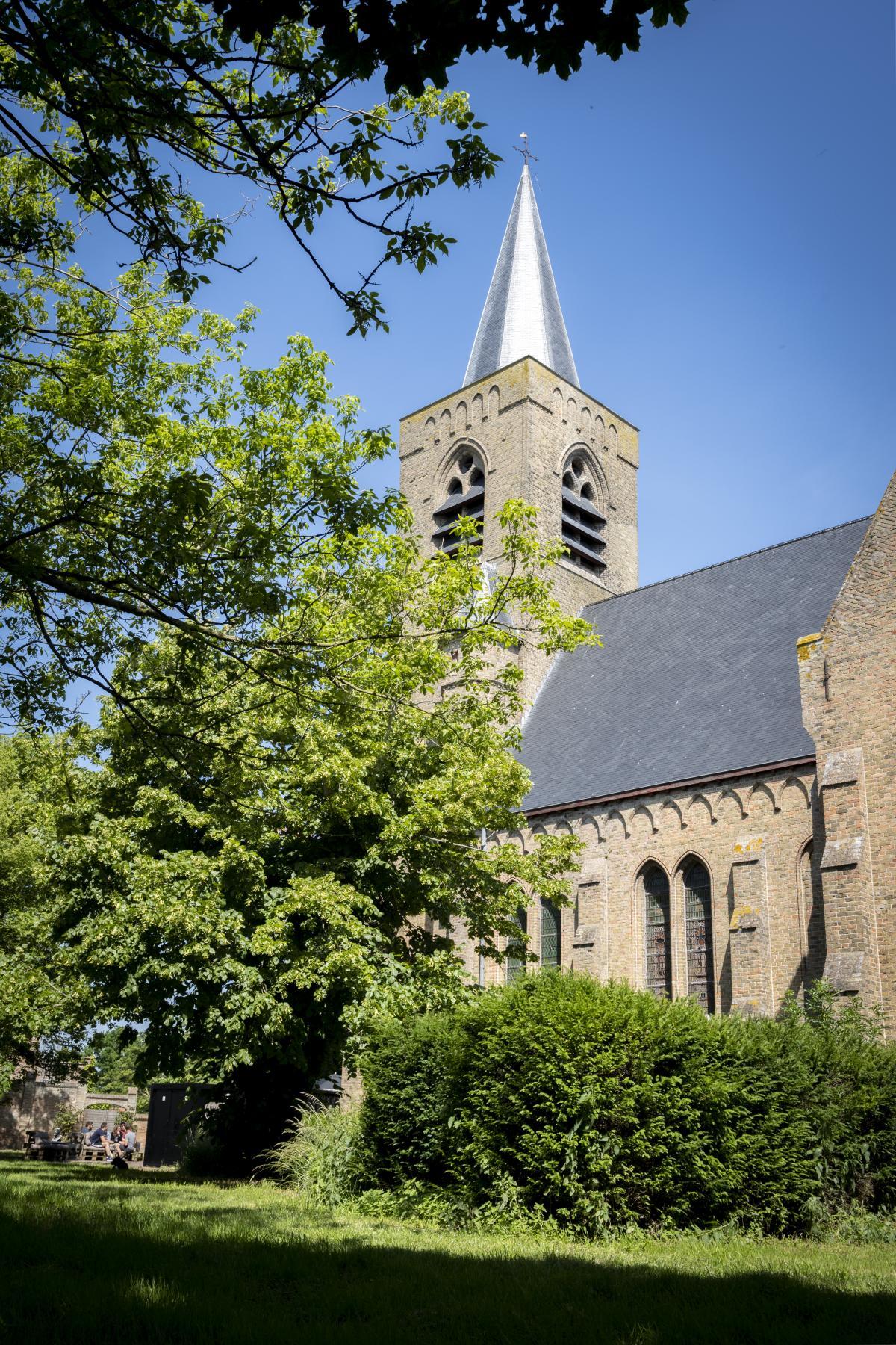 Afbeelding van Bed en Bar Tolomeus