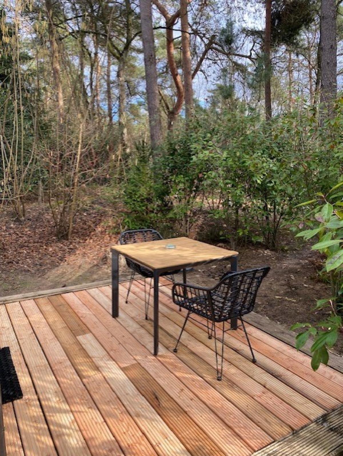 Pictures of Cosy Forest Tiny House | Veluwe