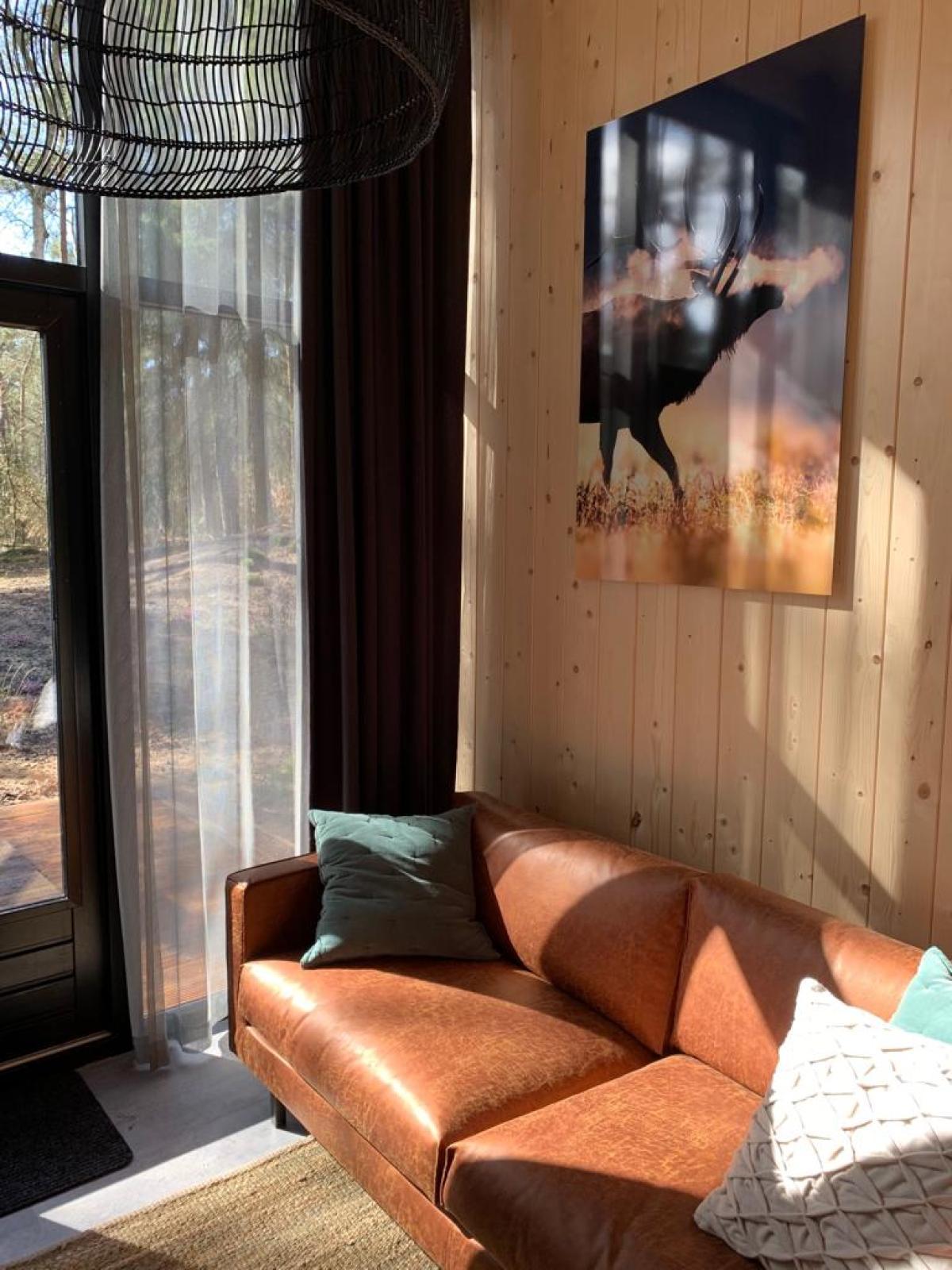 Pictures of Cosy Forest Tiny House | Veluwe