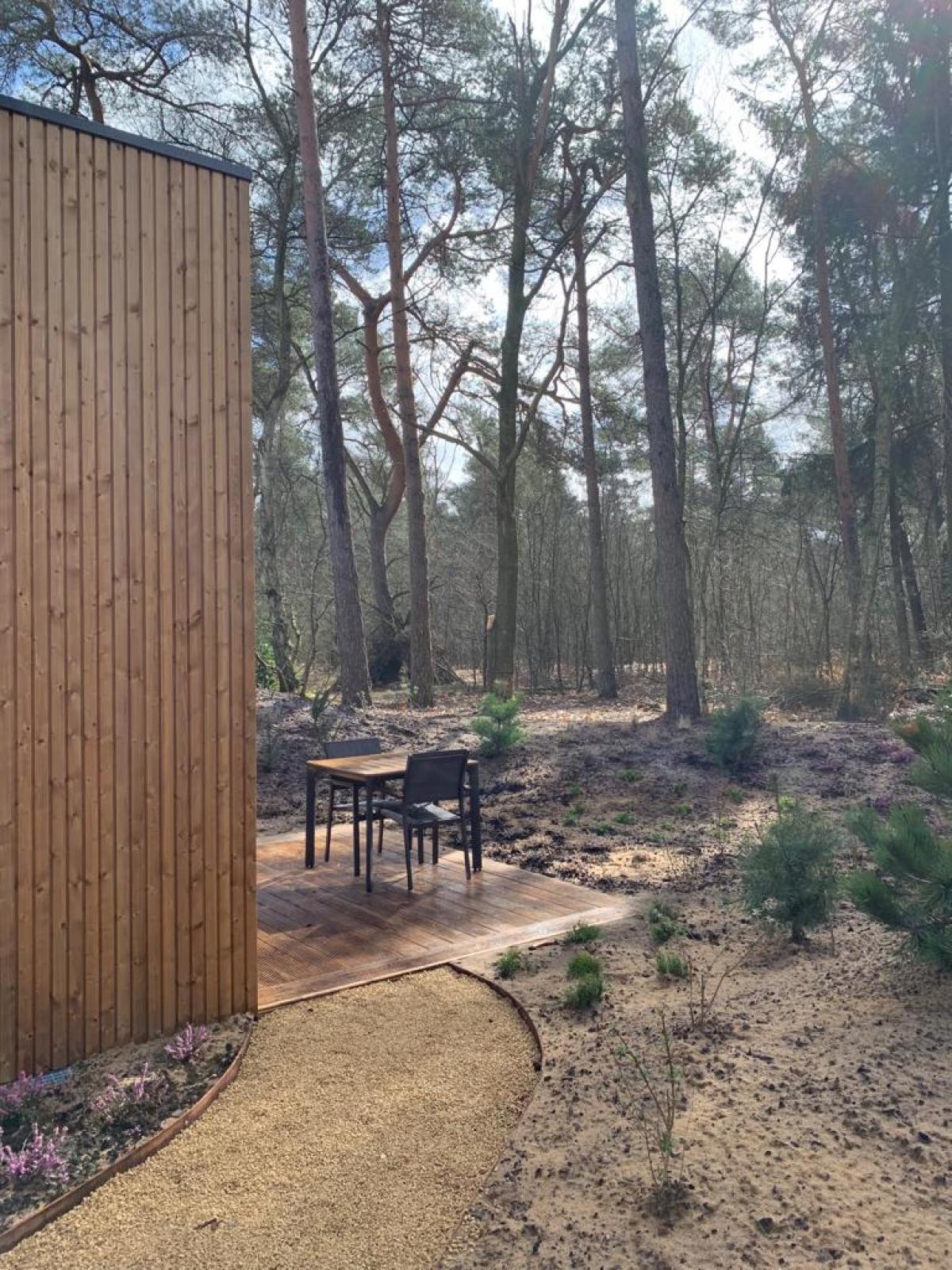 Pictures of Cosy Forest Tiny House | Veluwe