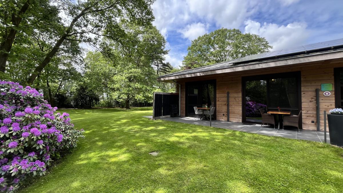 Afbeelding van Suite Rendier - Business Pitstop