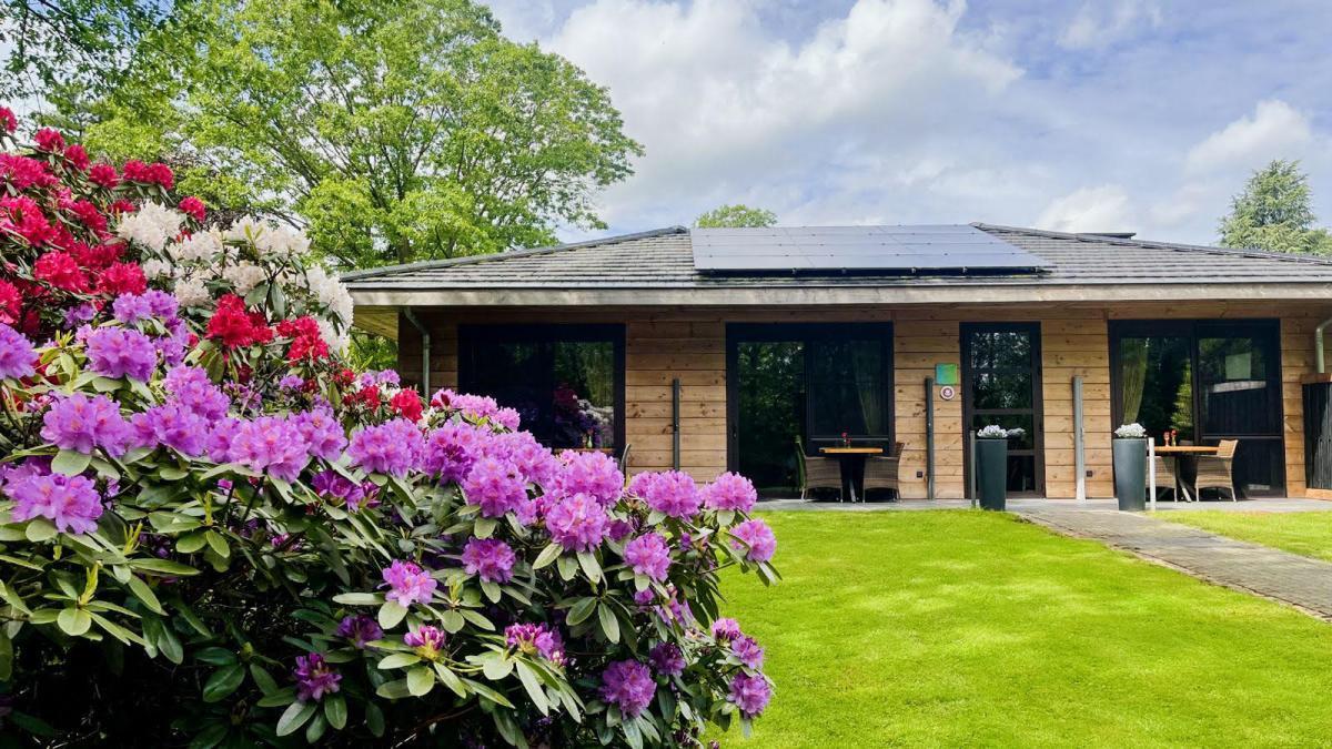 Afbeelding van Suite Luipaard - Business Pitstop