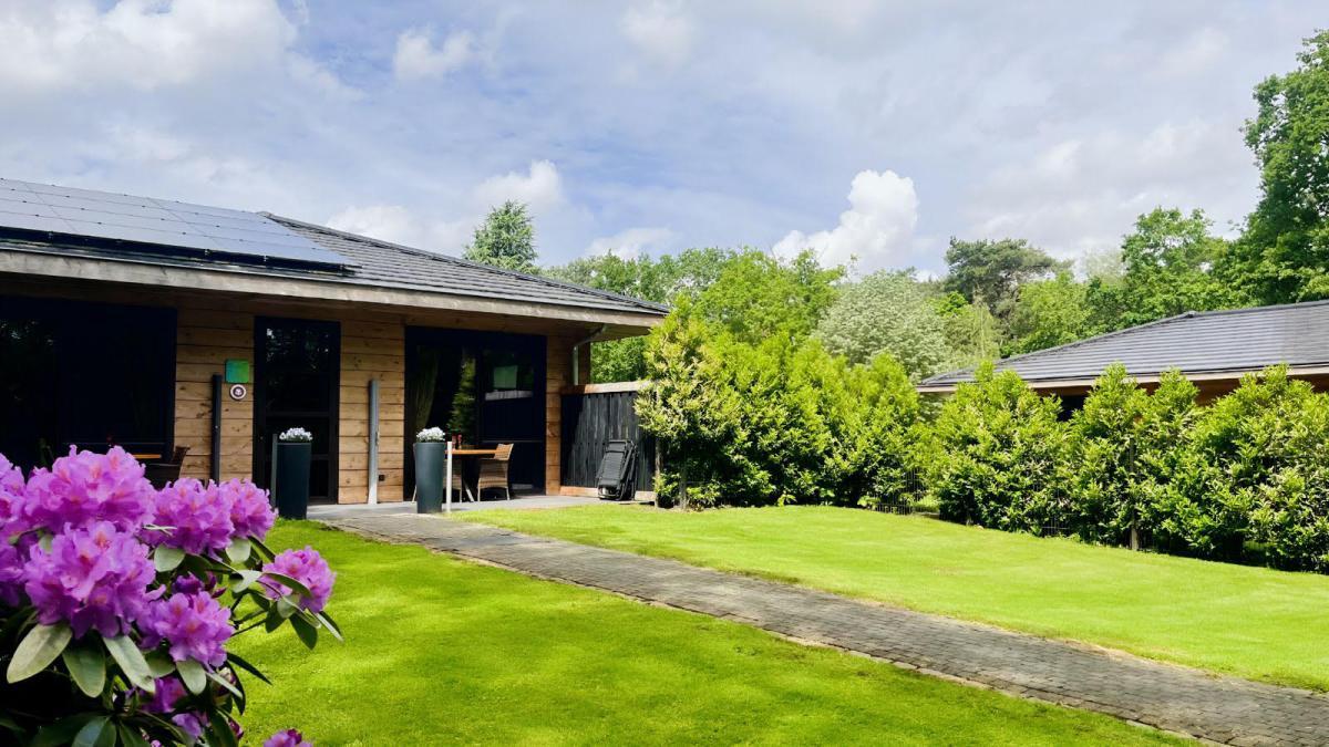 Afbeelding van Suite Leeuw-Business Pitstop