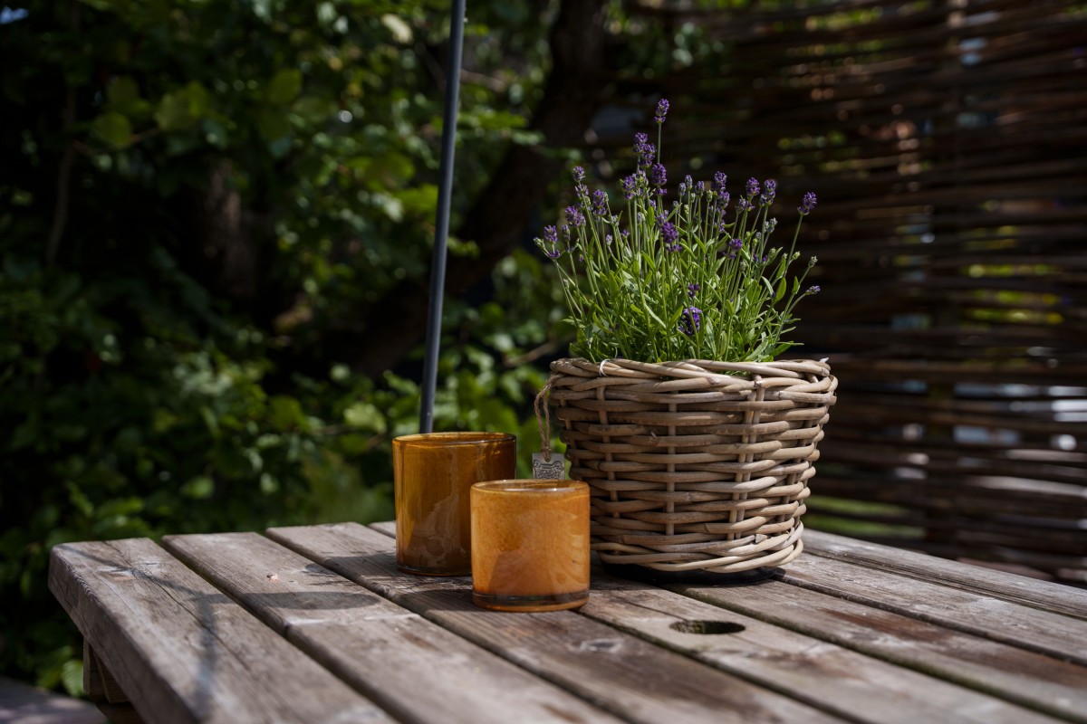 Afbeelding van B&B de Roem van Altena pod 1.