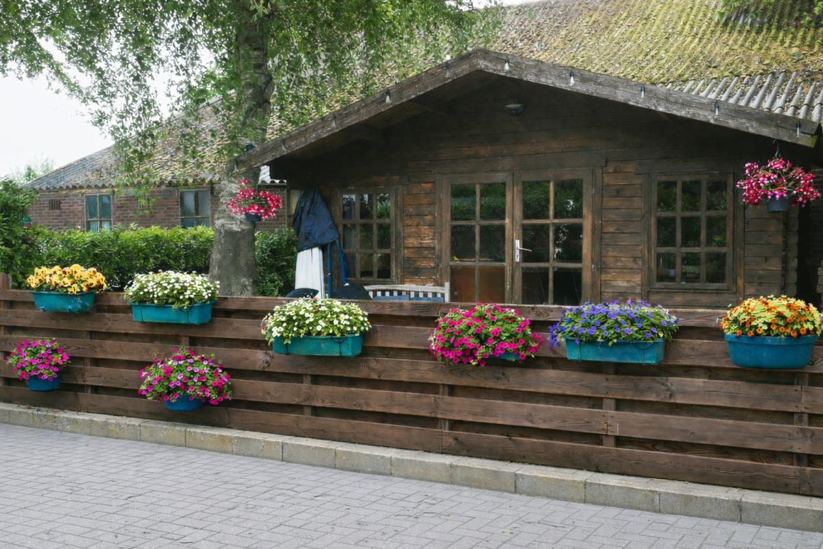 Pictures of Log cabin XL Citrien
