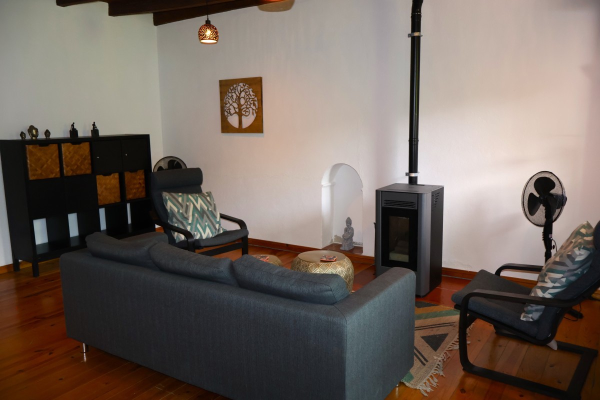 Pictures of Passiflora