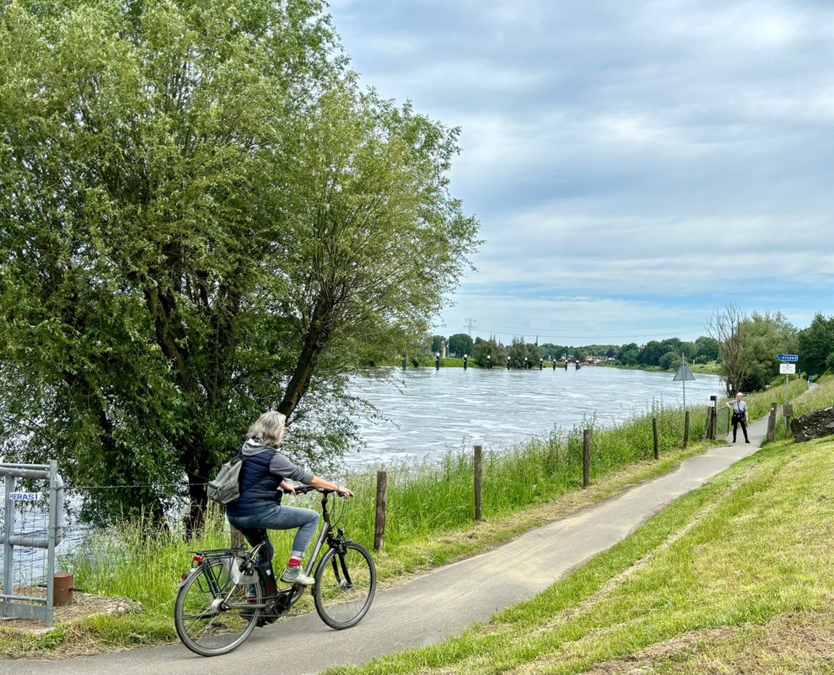Afbeelding van BOSHUISJE