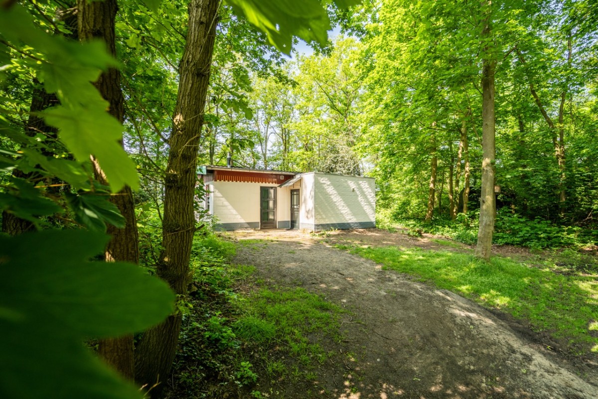 Afbeelding van BOSHUISJE