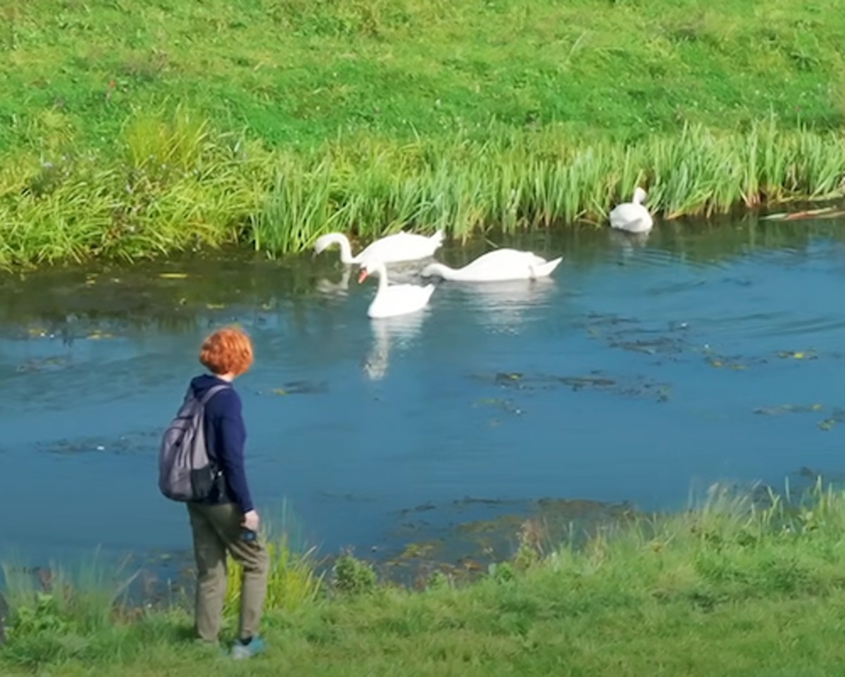 Afbeelding van LANDHOEVE VAKANTIEHUIS