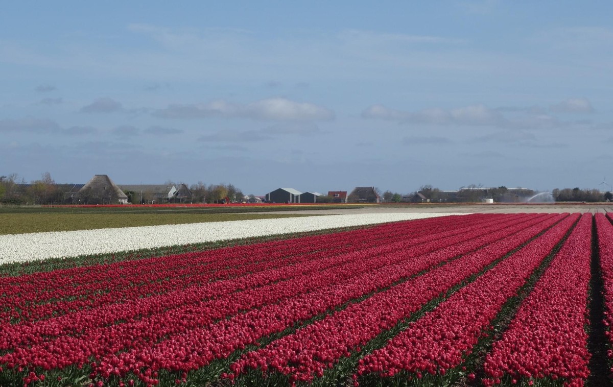 Afbeelding van [No roomname has been set!]