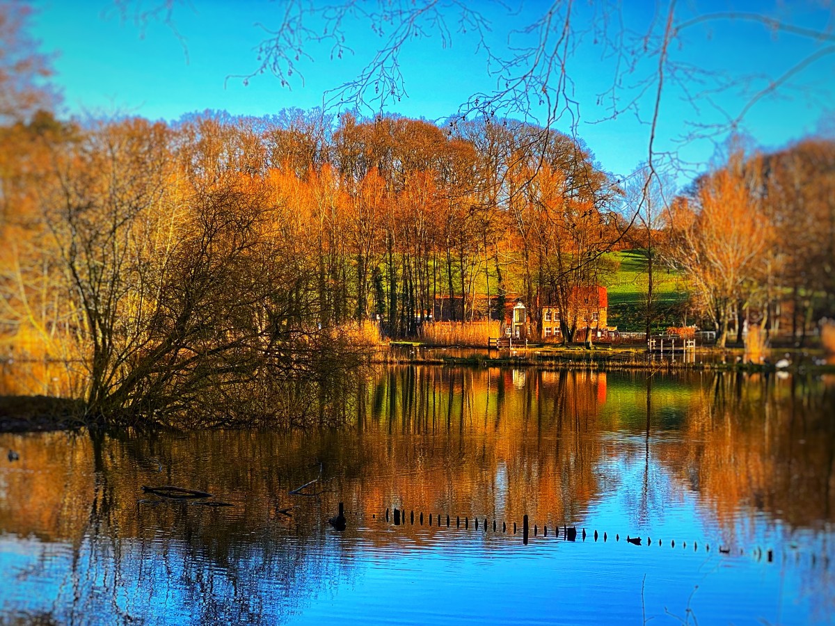 Pictures of Lovely luxury apartment in nature