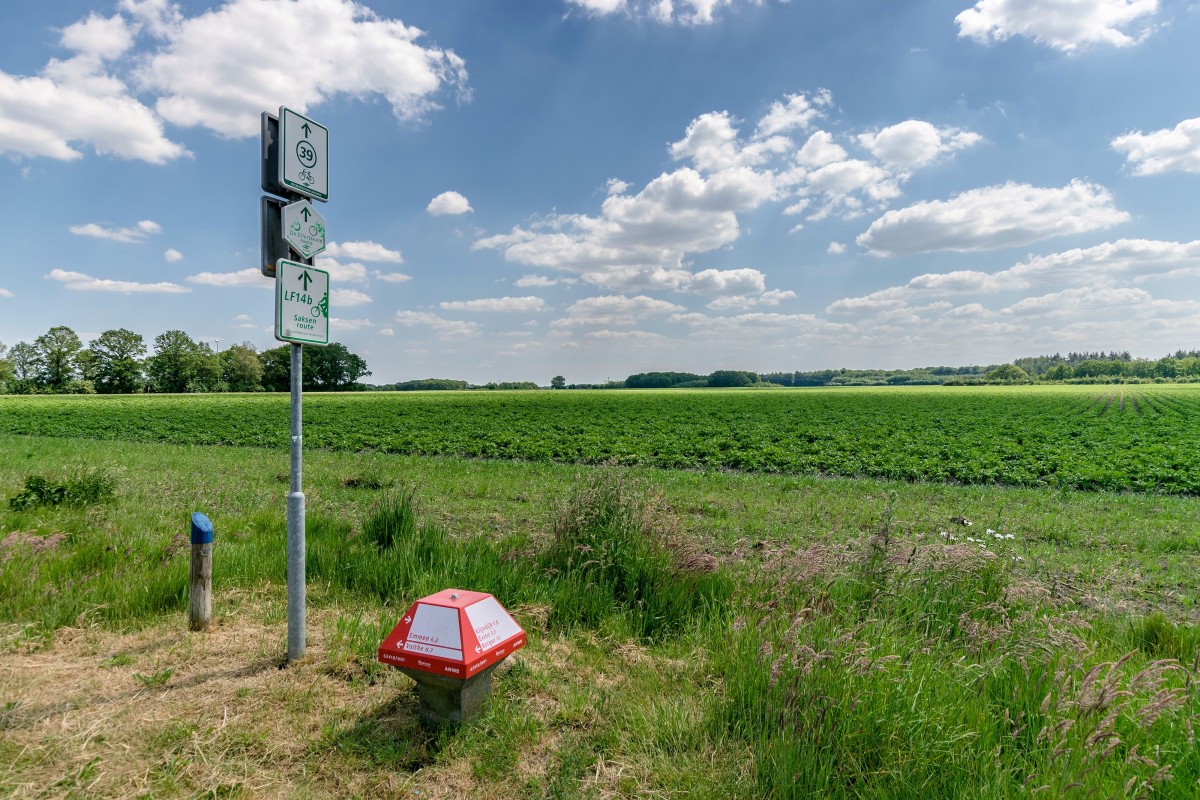 Afbeelding van Vakantiehuis Hondsrug Hideaway