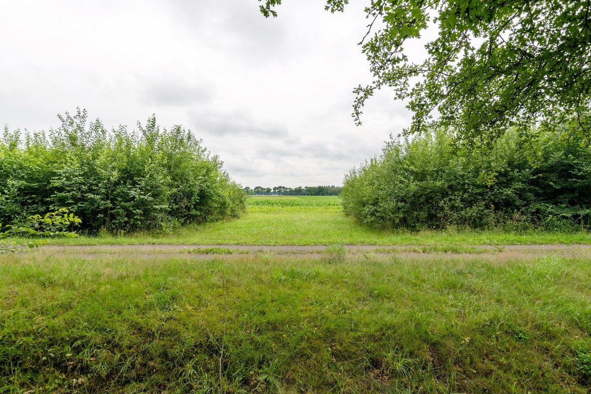 Afbeelding van Vakantiehuis Hondsrug Hideaway