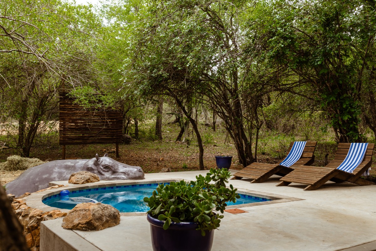Afbeelding van Jackals Dream - holiday villa in Marloth Park
