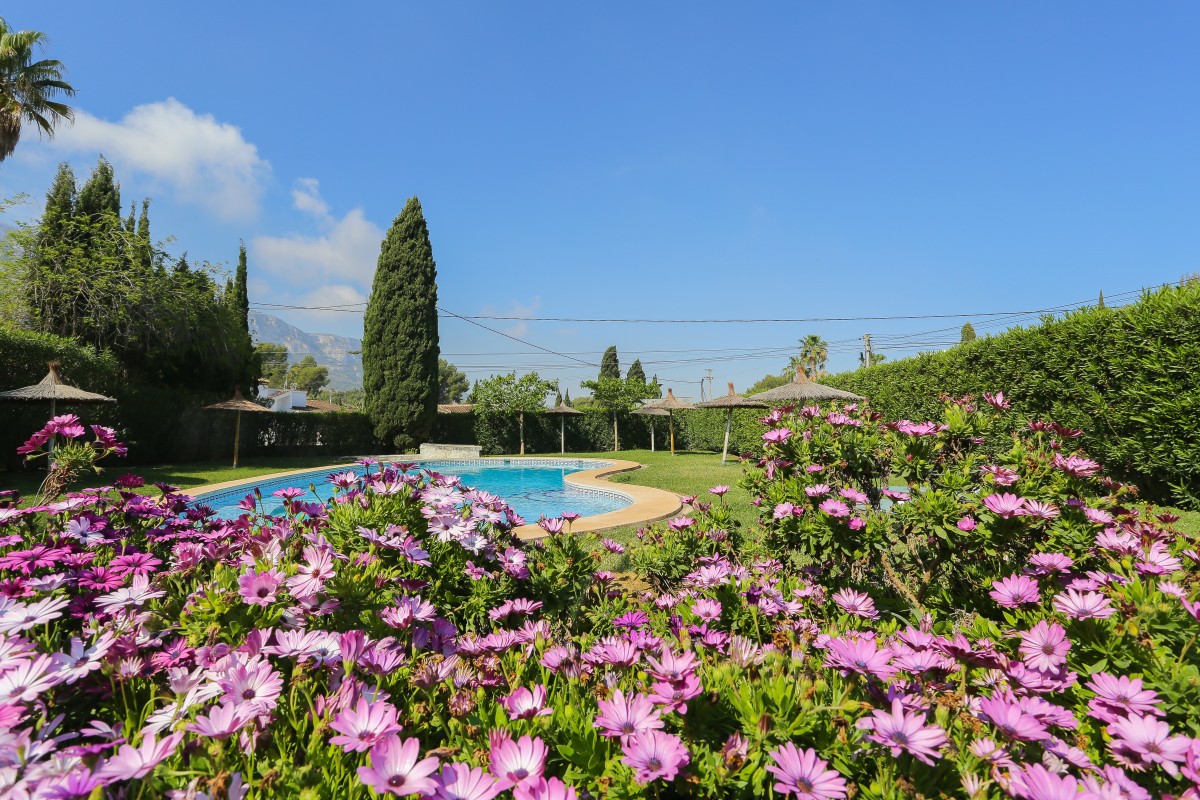 Pictures of Apartment Montesol 22B | Denia