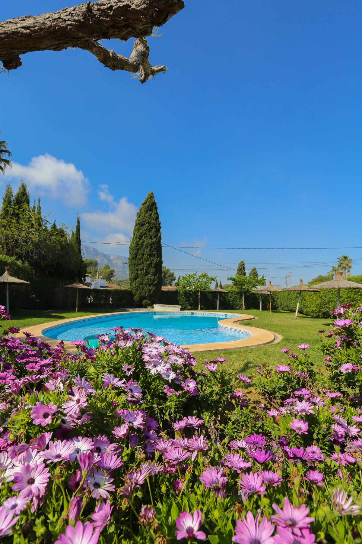 Pictures of Apartment Montesol 22B | Denia