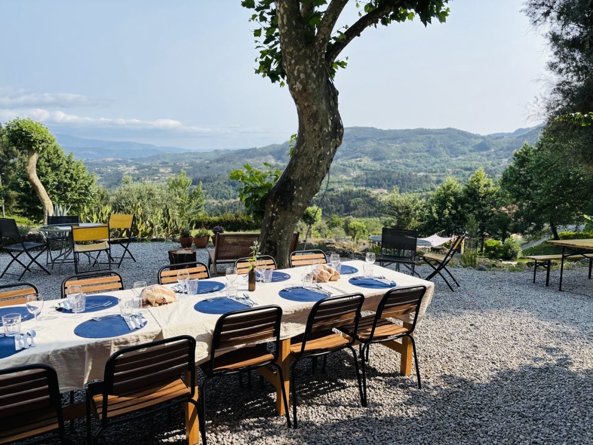 Pictures of Caravan/ folding trailer/ roof tent on the grass lawn