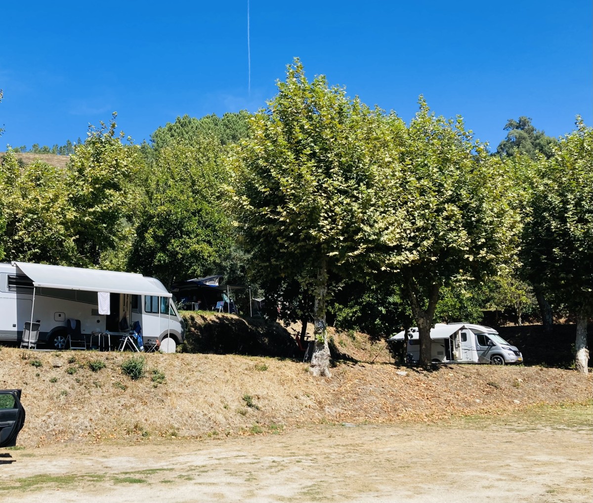 Pictures of Camper spot on the grass