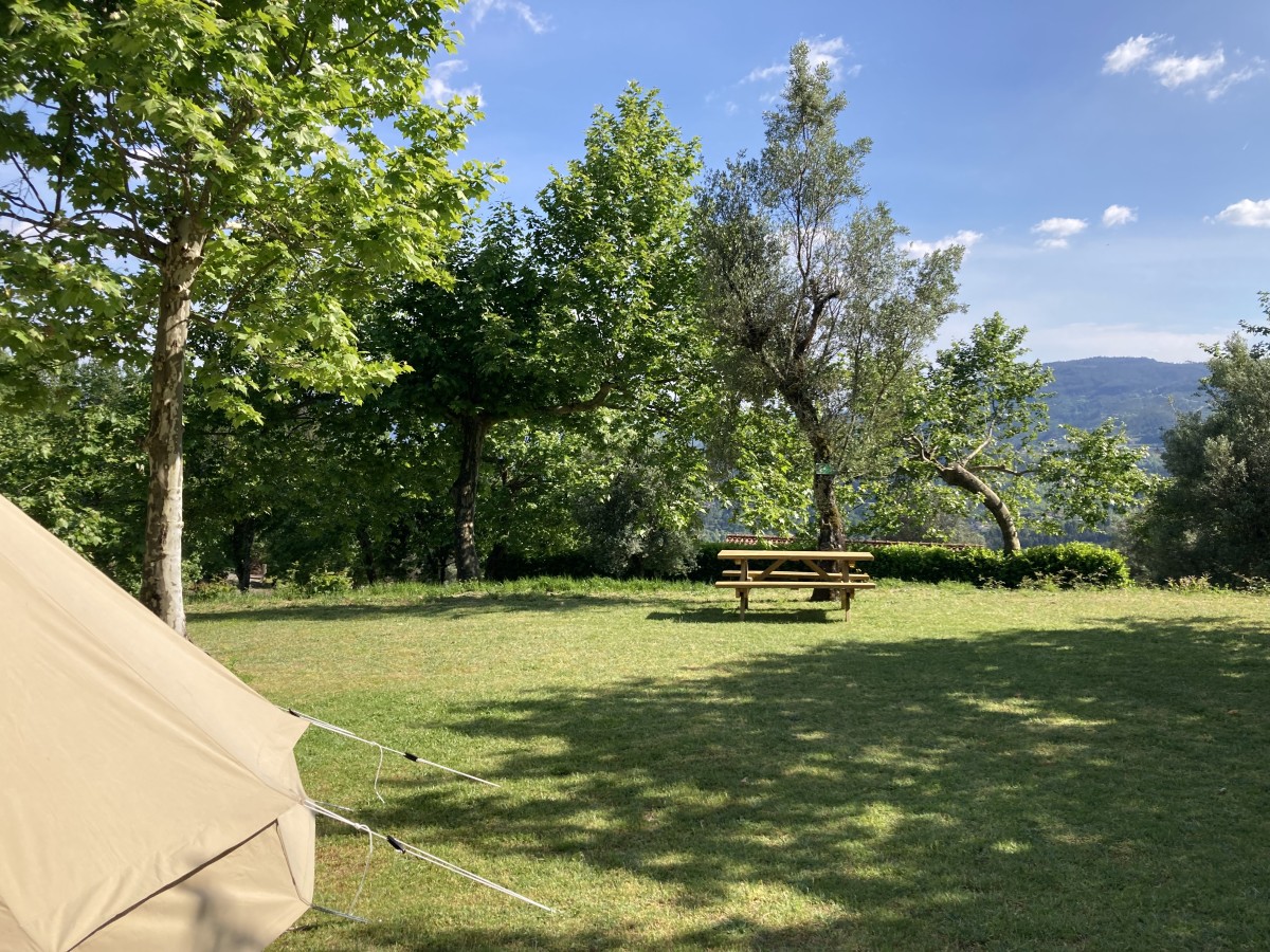 Pictures of Campsite among the orange trees