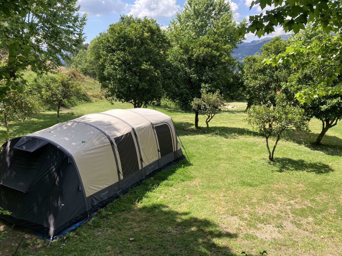 Pictures of Campsite among the orange trees