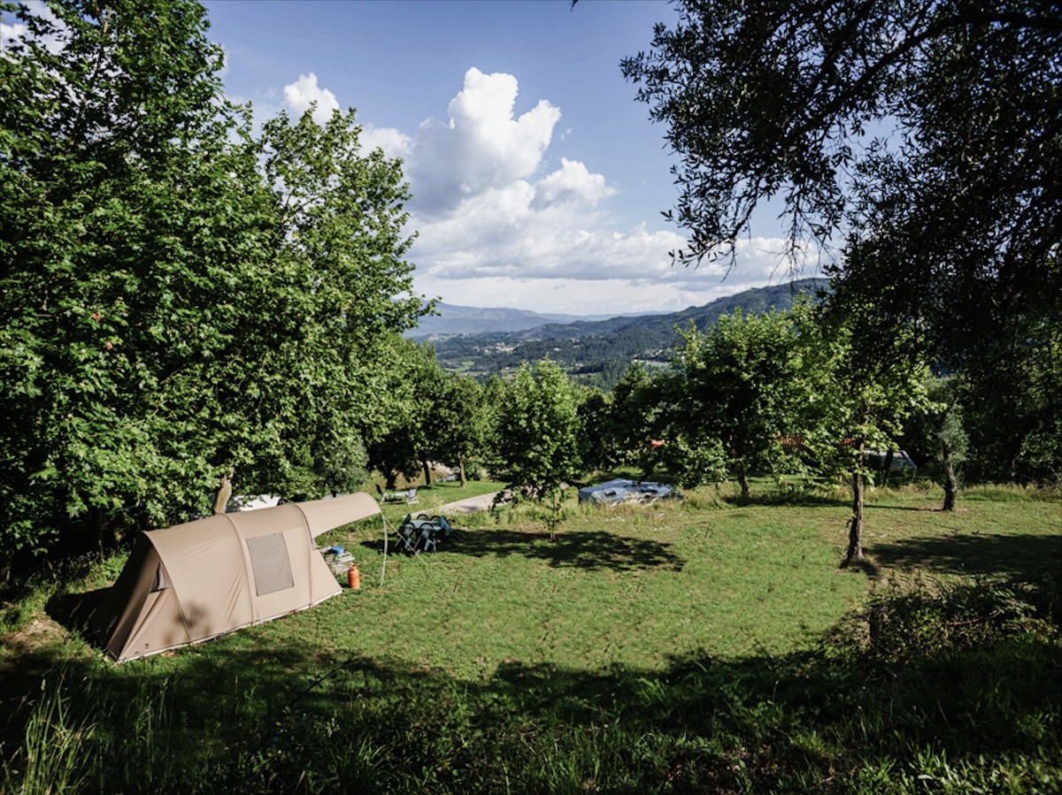 Pictures of Campsite among the orange trees