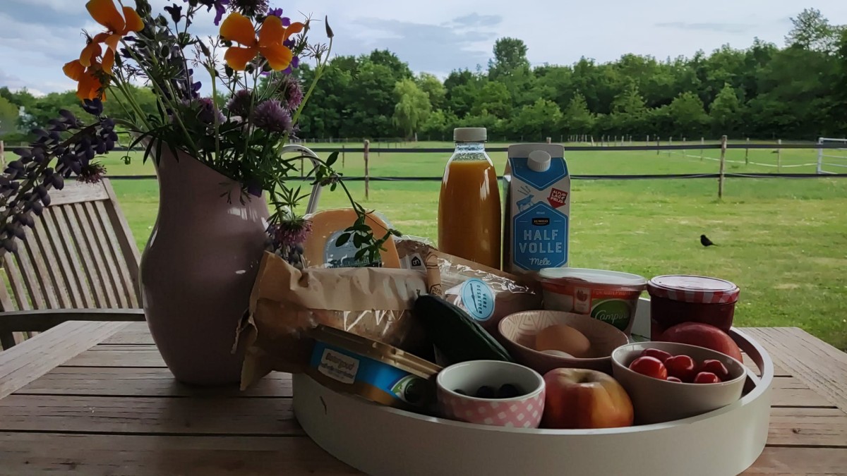 Afbeelding van de Tulp