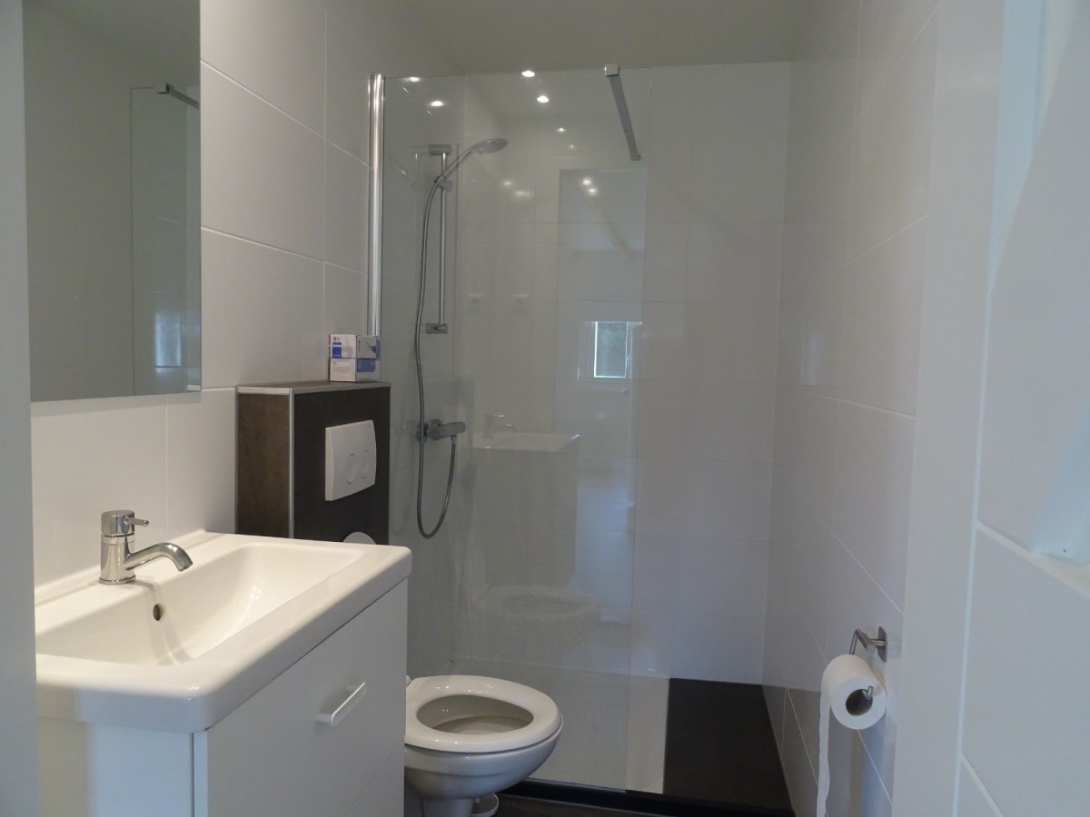 Afbeelding van de Tulp