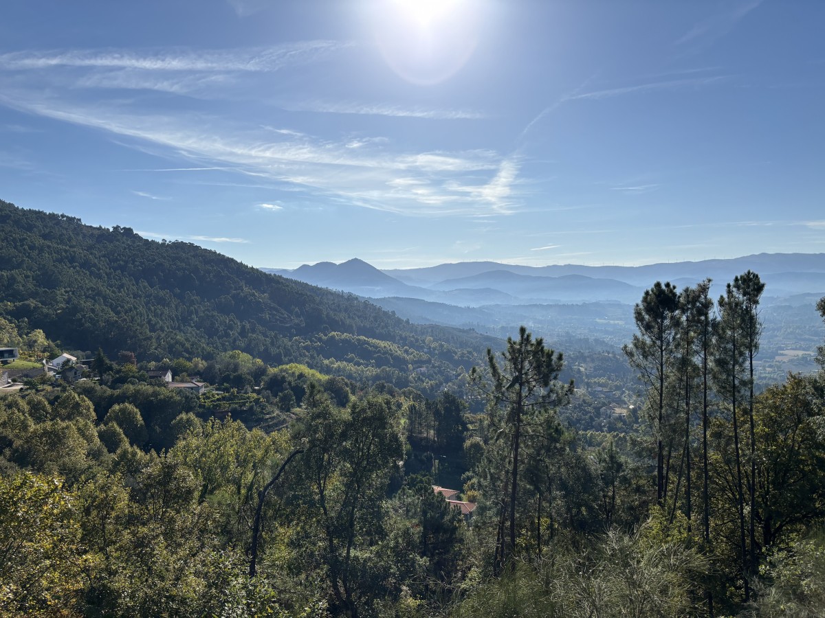 Pictures of Tinyhouse