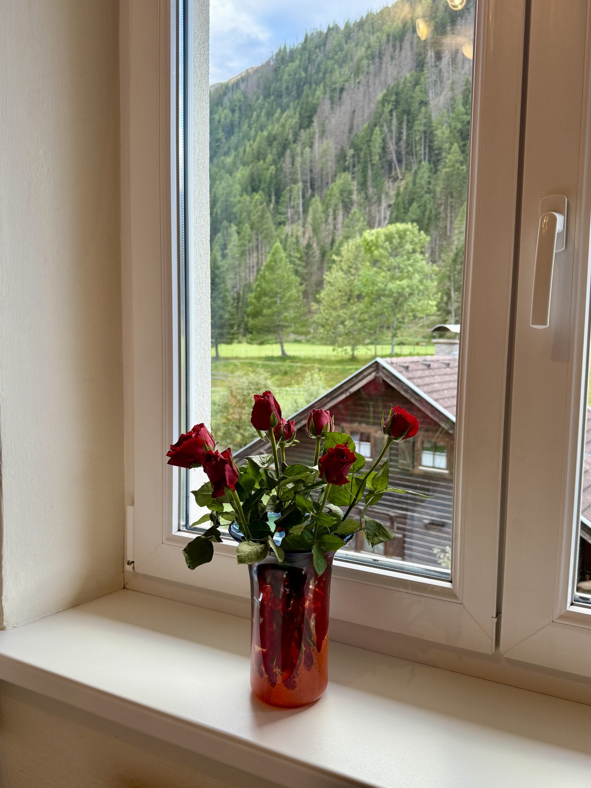 Pictures of Red Appartement (2 Rooms)