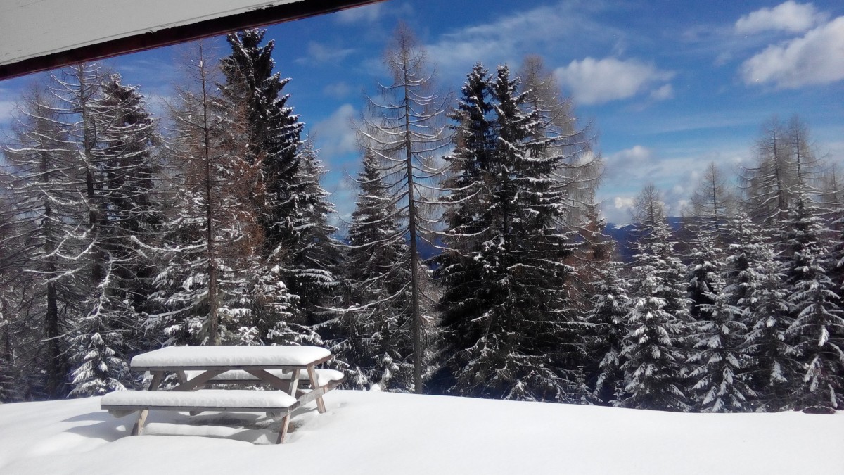Afbeelding van Villa-Alpenblick skipiste en wandelpaden nabij