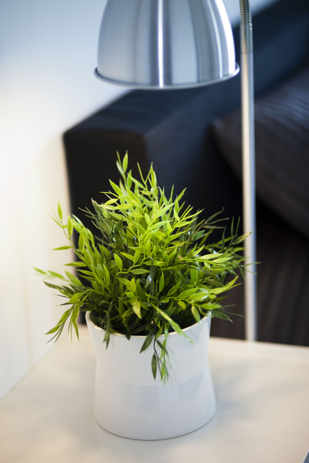 Afbeelding van Appartement Alexander Antwerpen