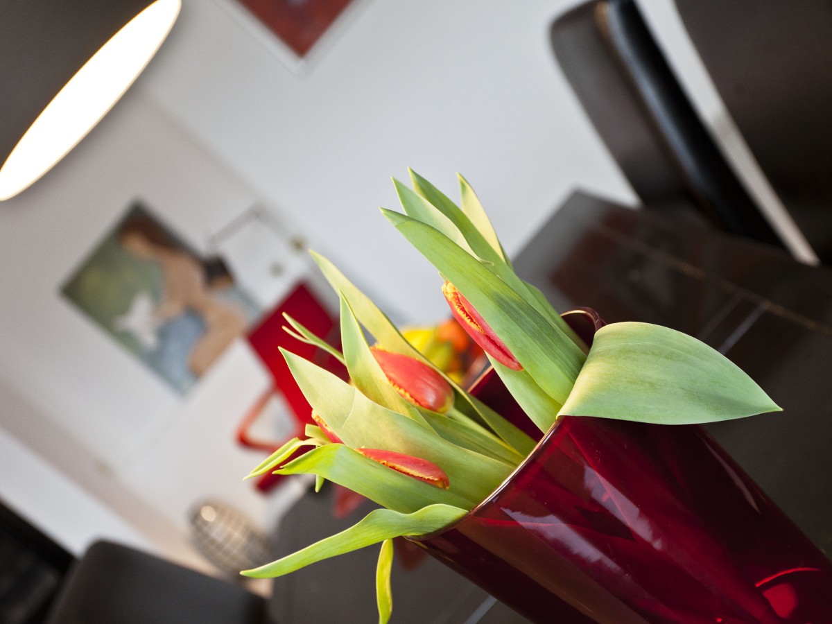 Afbeelding van Appartement Alexander Antwerpen