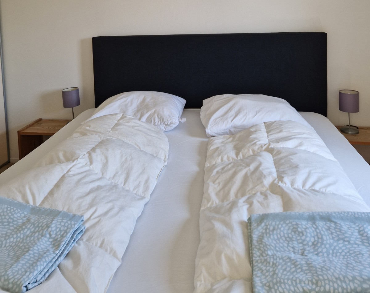 Afbeelding van Chalet aan het Lauwersmeer