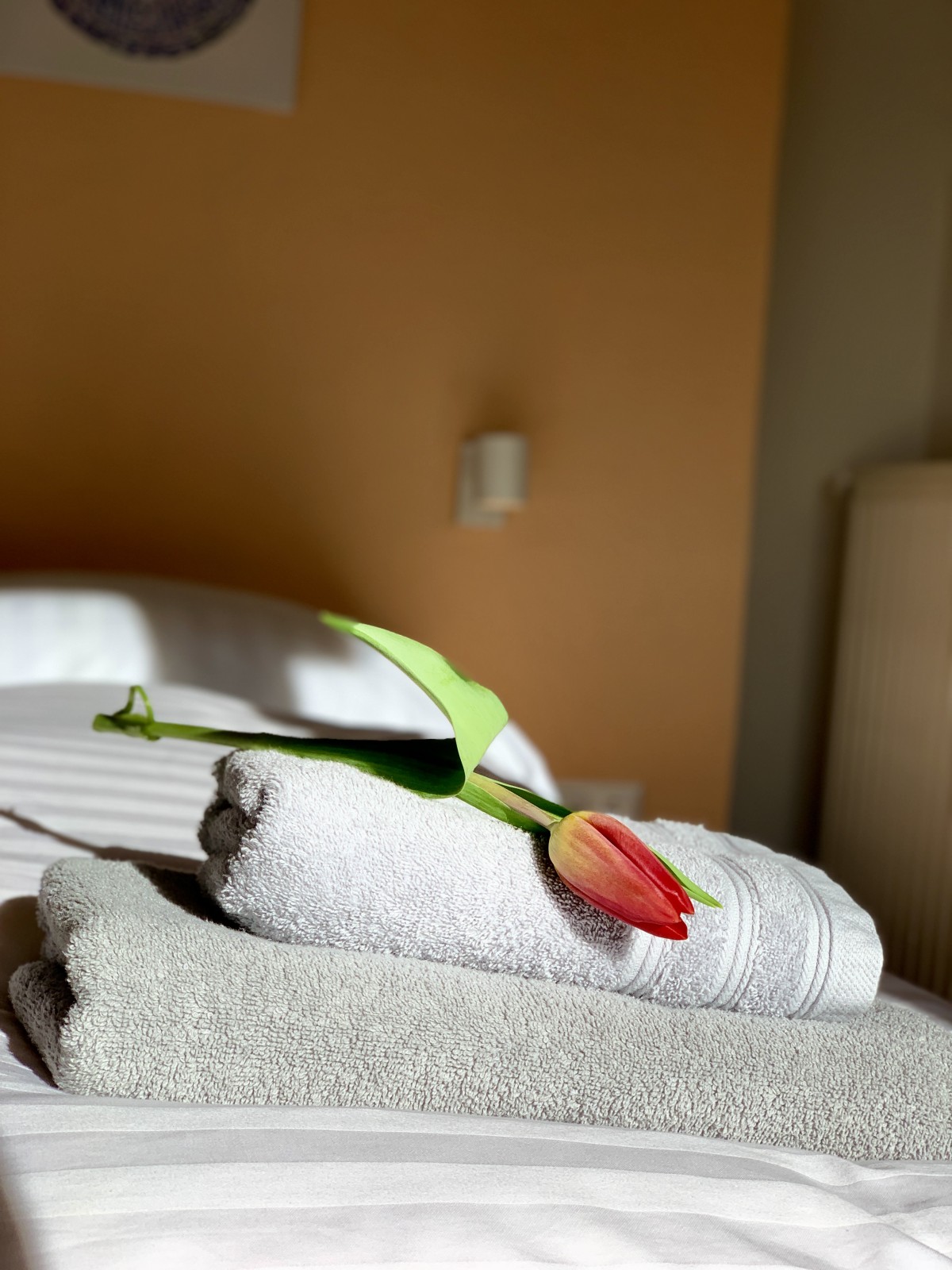 Afbeelding van Big-Family Appartement (4 Kamers. 2 badkamers)