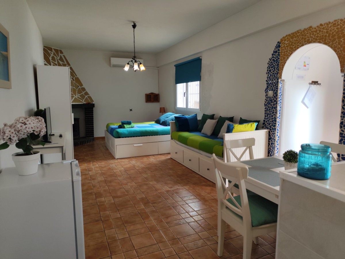 Afbeelding van Studio Tropical