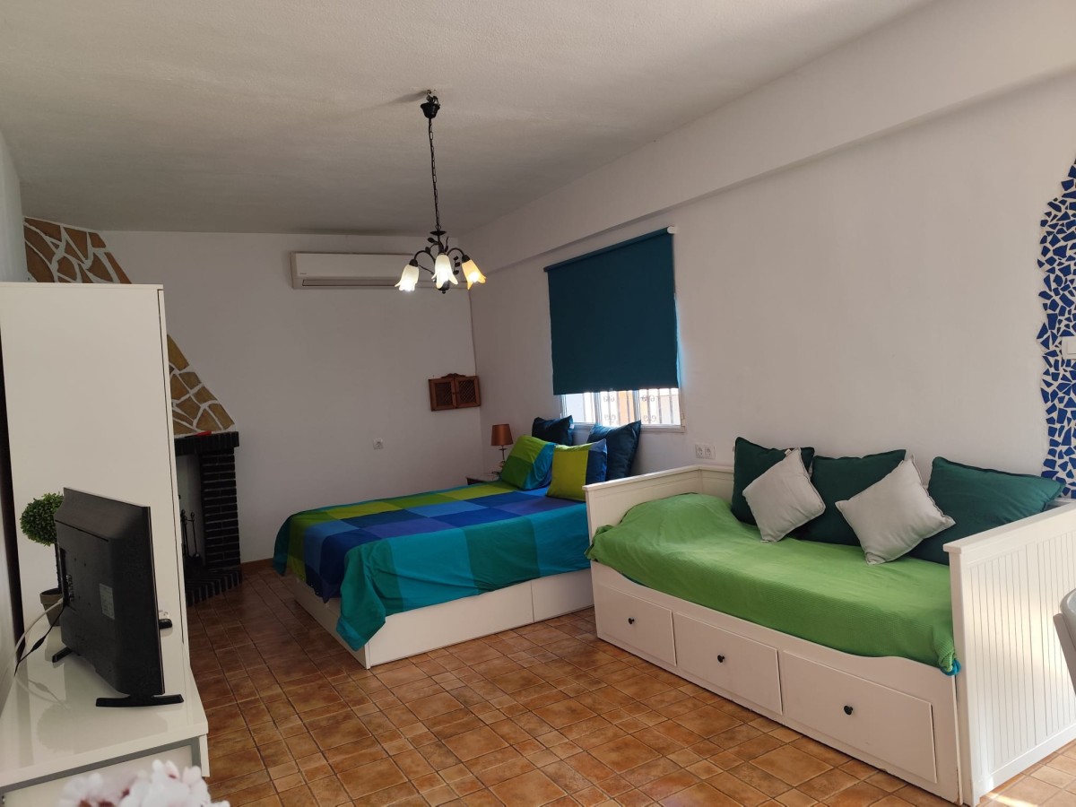 Afbeelding van Studio Tropical