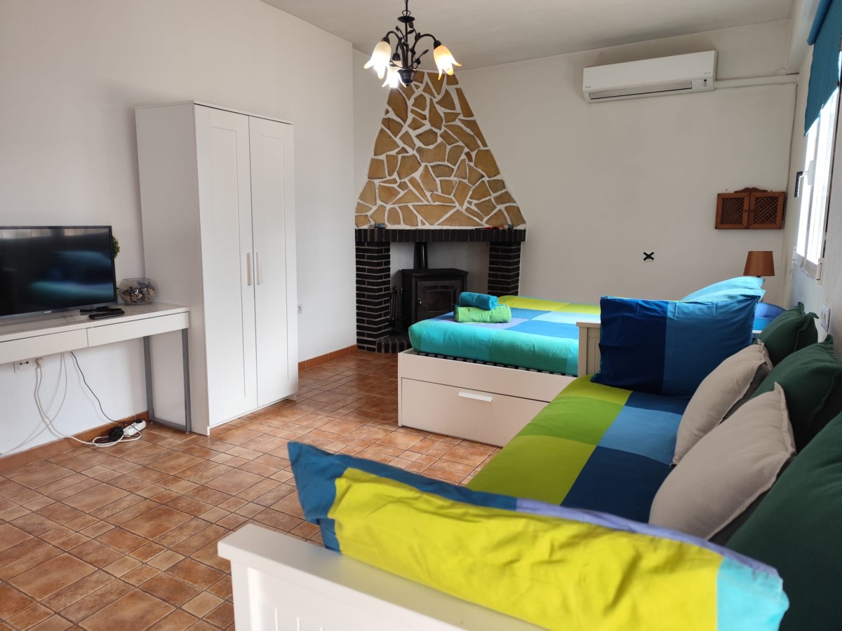 Afbeelding van Studio Tropical