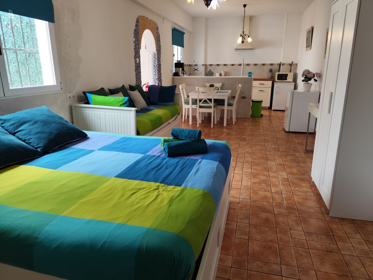 Afbeelding van Studio Tropical