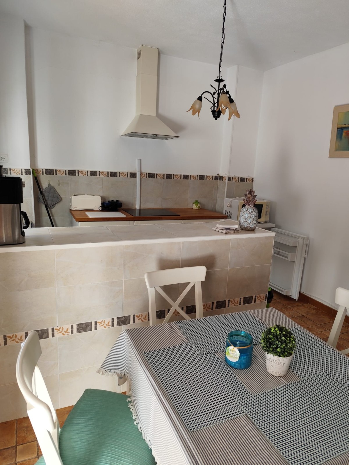 Afbeelding van Studio Tropical