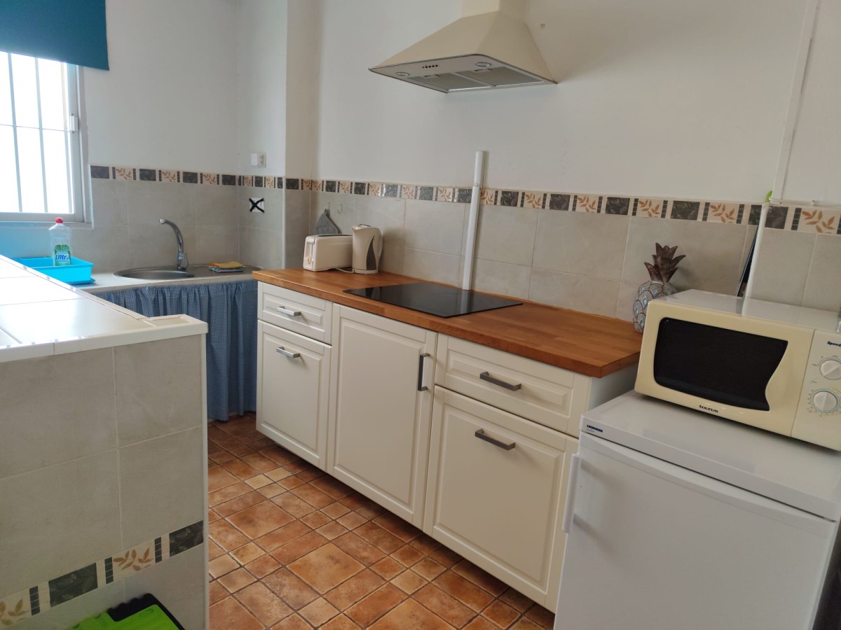 Afbeelding van Studio Tropical