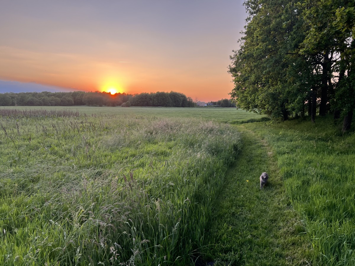 Afbeelding van Vakantieappartement Landgoed Eik & Linde