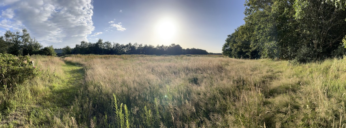 Afbeelding van Vakantieappartement Landgoed Eik & Linde