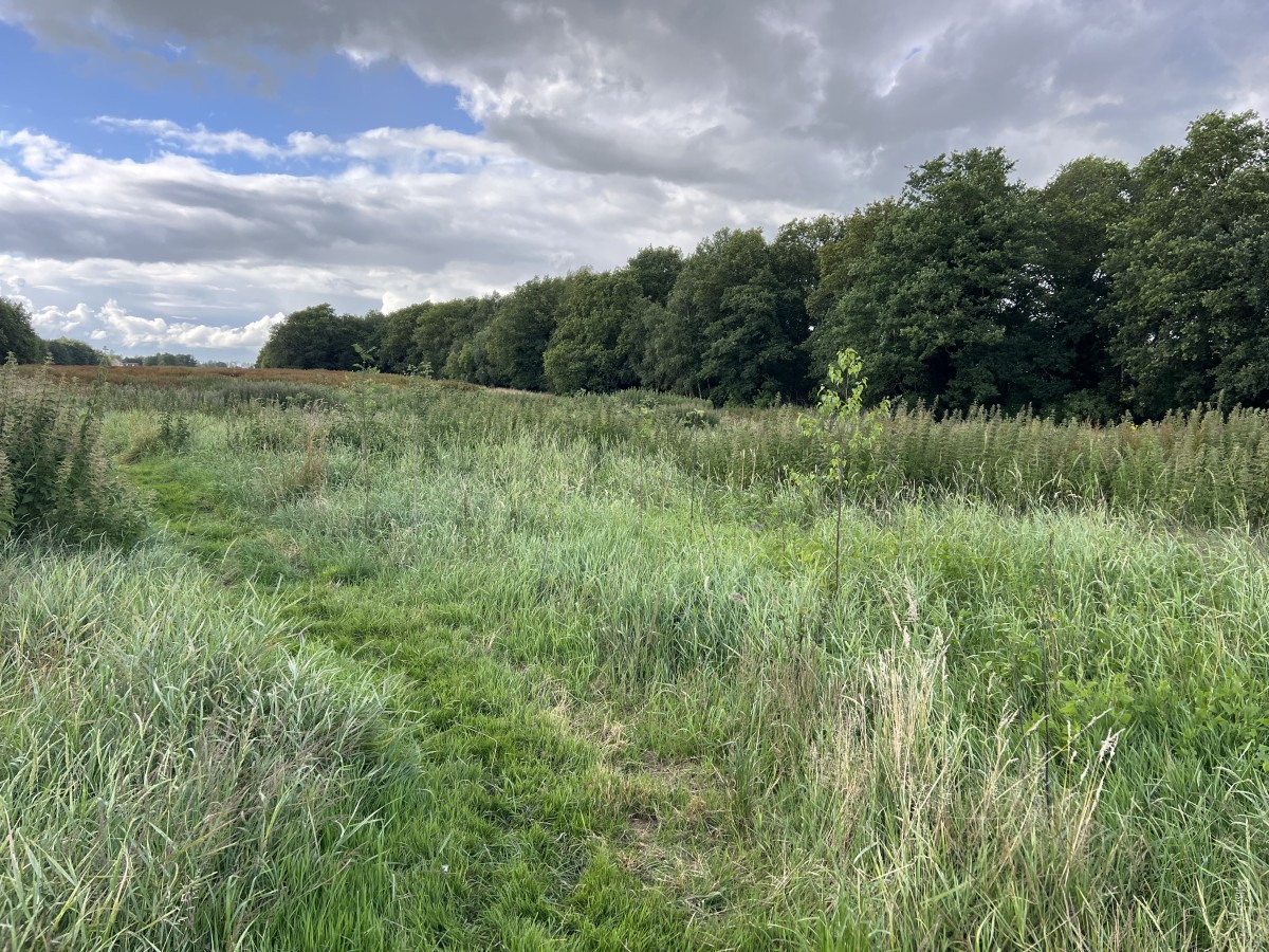 Afbeelding van Vakantieappartement Landgoed Eik & Linde