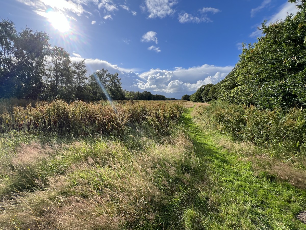 Afbeelding van Vakantieappartement Landgoed Eik & Linde